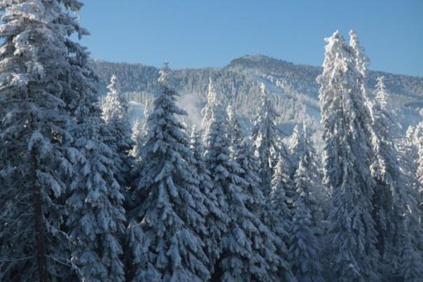 Aparthotel Borovets Gardens Zewnętrze zdjęcie