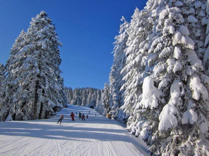 Aparthotel Borovets Gardens Zewnętrze zdjęcie